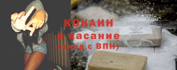 крисы Аркадак