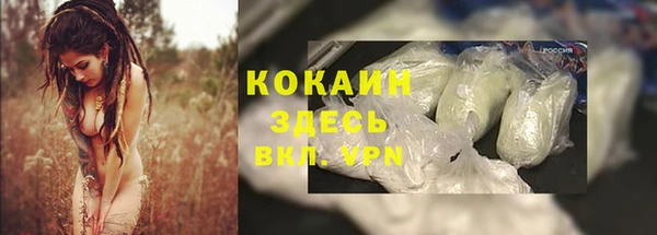 крисы Аркадак
