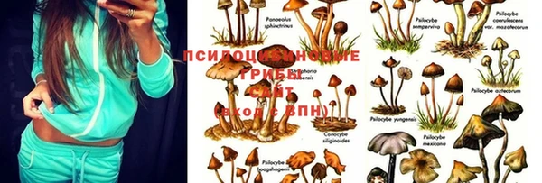 кокс Алексеевка