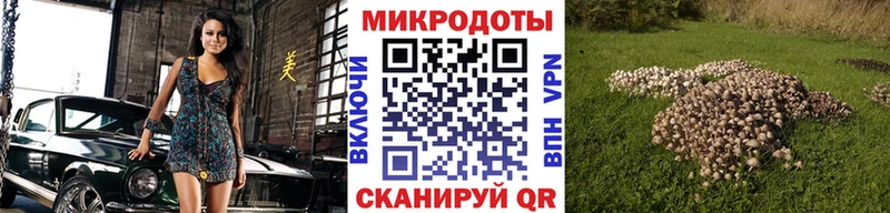цены наркотик  Бабушкин  Псилоцибиновые грибы Psilocybe 